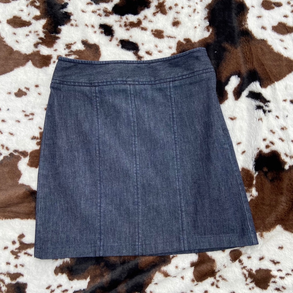 Ann Taylor skirt